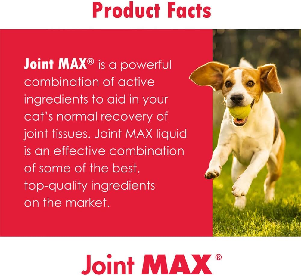 PHS Joint MAX Triple Strength (TS) Chewable Tablets for Dogs - 2-Pack - 240 Tablets