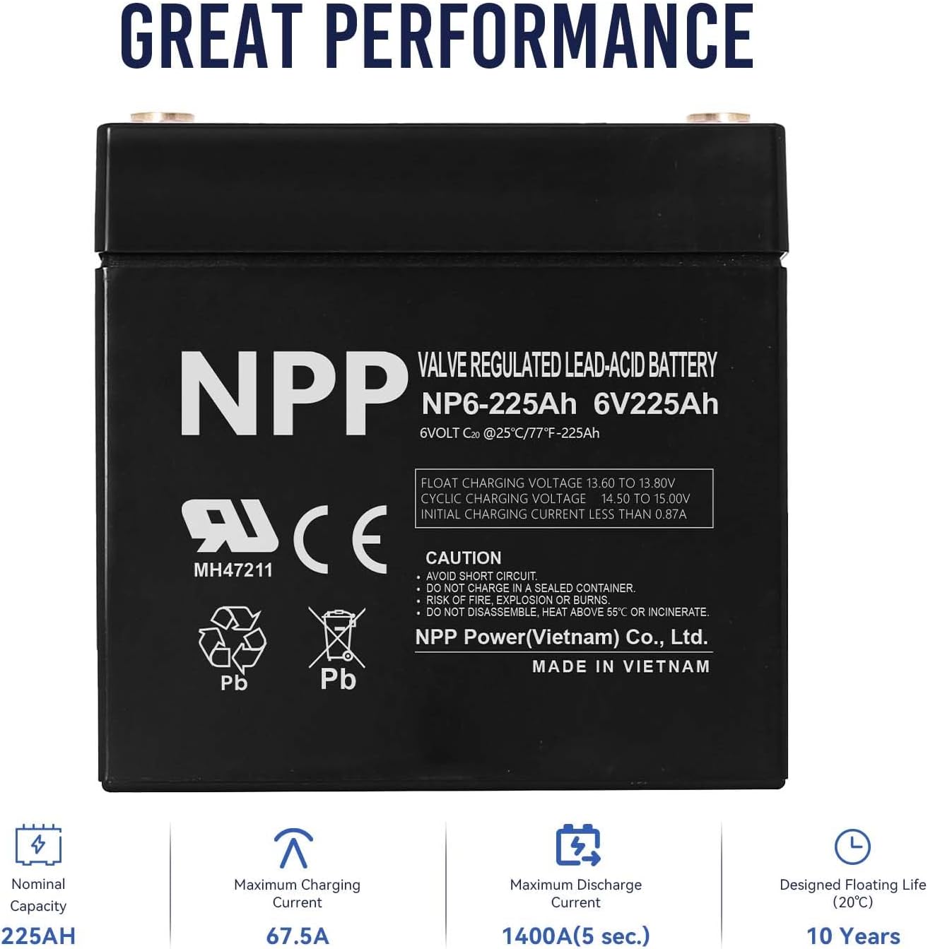 NPP 6V 225Ah AGM SLA Battery with T16 (M8) Terminal for Golf Cart (2 Pcs)