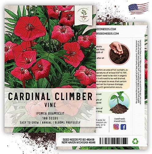Seed Needs Cardinal Climber Seeds to Plant Red Flowering Vines 2 Packs