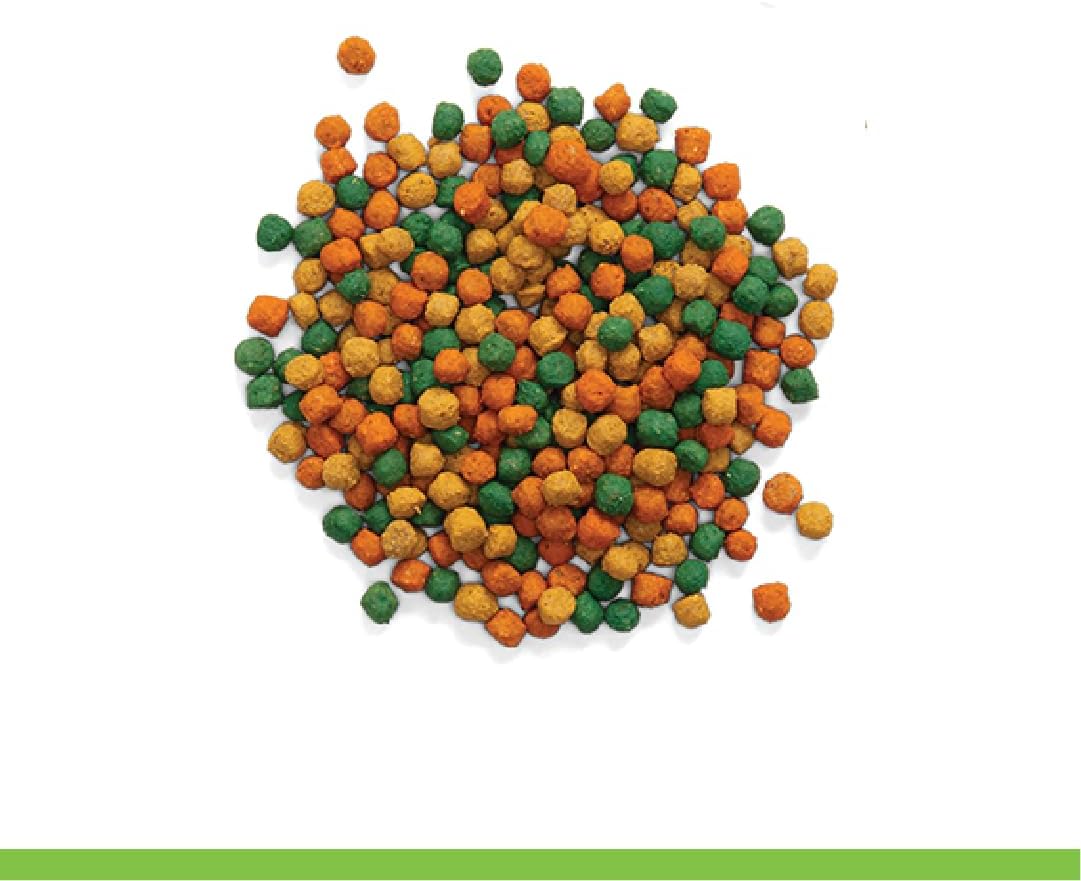 ZuPreem FruitBlend Cockatiel & Conure Food, Uniform Bird Food, M, 2 lb | Bird Food Pellets, Real Fruit, Blend, Cockatiel Food, Conures, Lovebirds, Love Bird Pellets, Quaker, Parrot, Medium Birds
