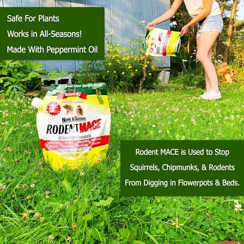 Nature’s MACE Rodent Repellent 22lb, Rodent Repellent Granules for Indoor & Outdoor, Mouse and Rat Prevention, for Garage, Attic, Kitchen, Car, Peppermint Oil Blend, Safe to Use, Covers 4,400 Sq Ft