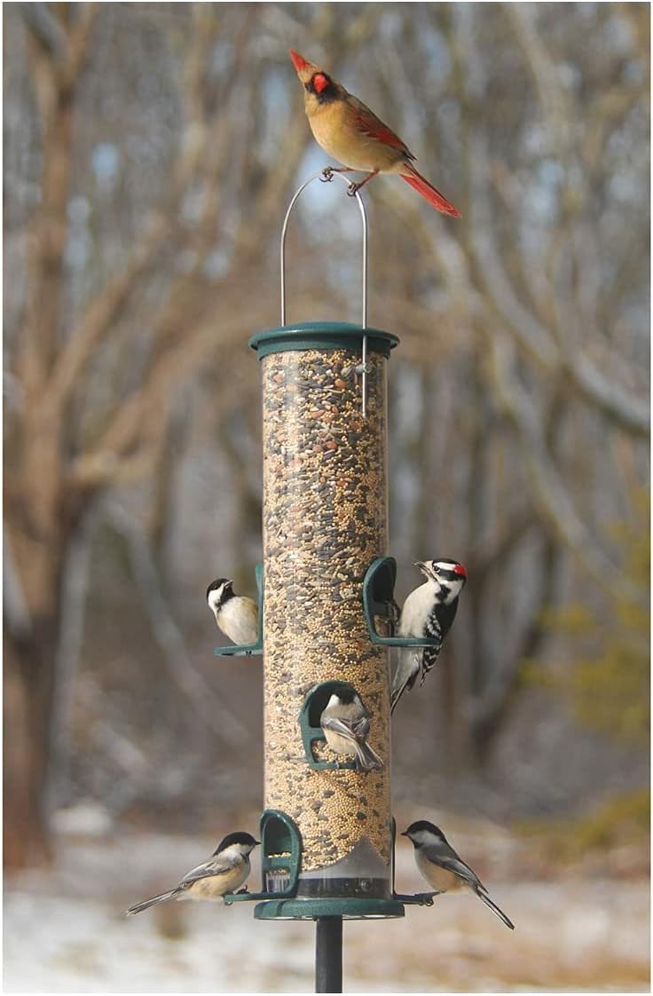 Aspects Quick-Clean Spruce Big Tube Feeder, 3.5qt Capacity - Large UV-Stabilized Feeder with 6 Feeding Stations for Backyard Birds