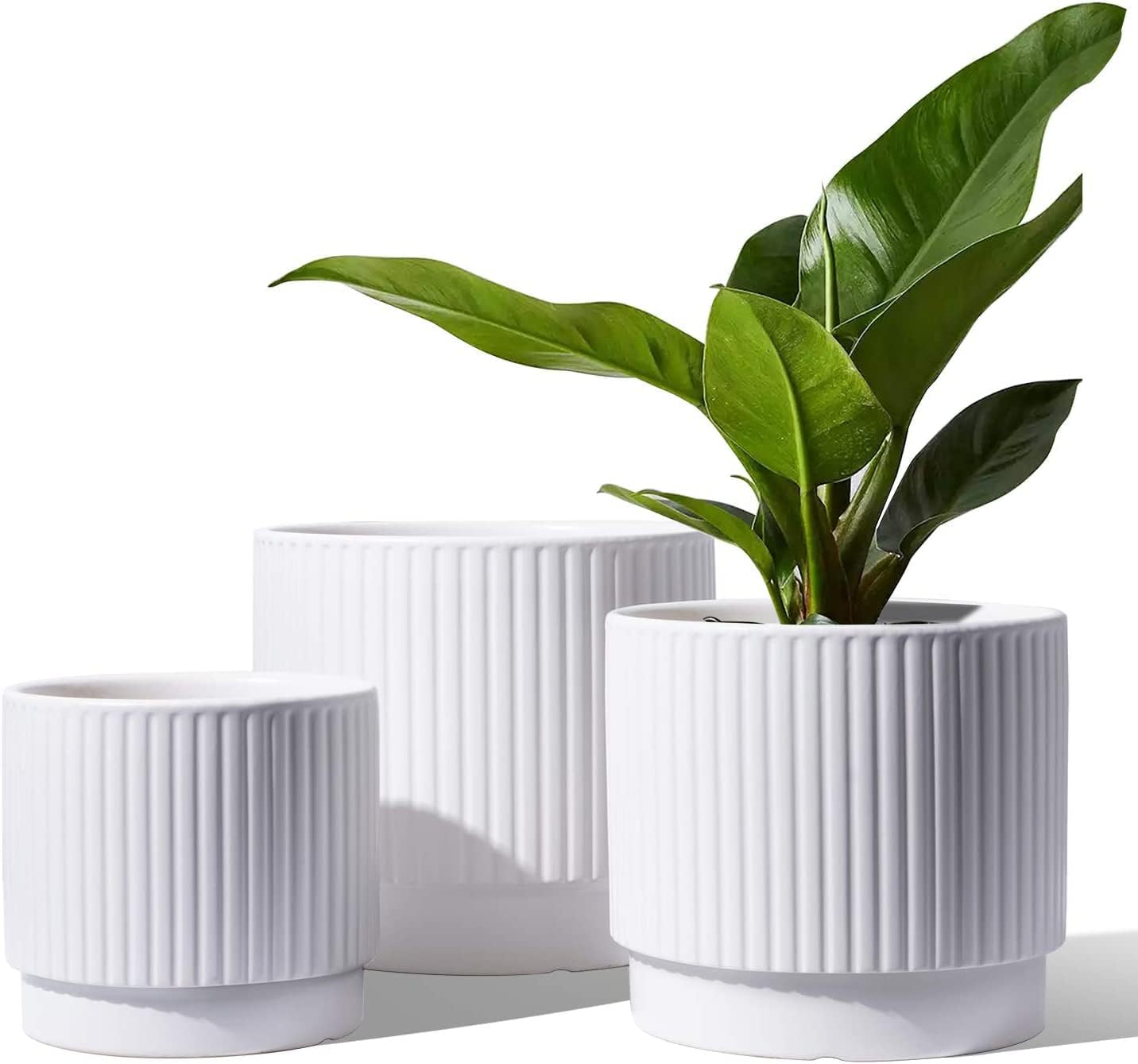 LE TAUCI Ceramic Plant Pots with Drainage Holes, Set of 3, 8+6.7+5.5 Inch Stripe Garden Planter Pots for Outdoor Indoor Plants Flower
