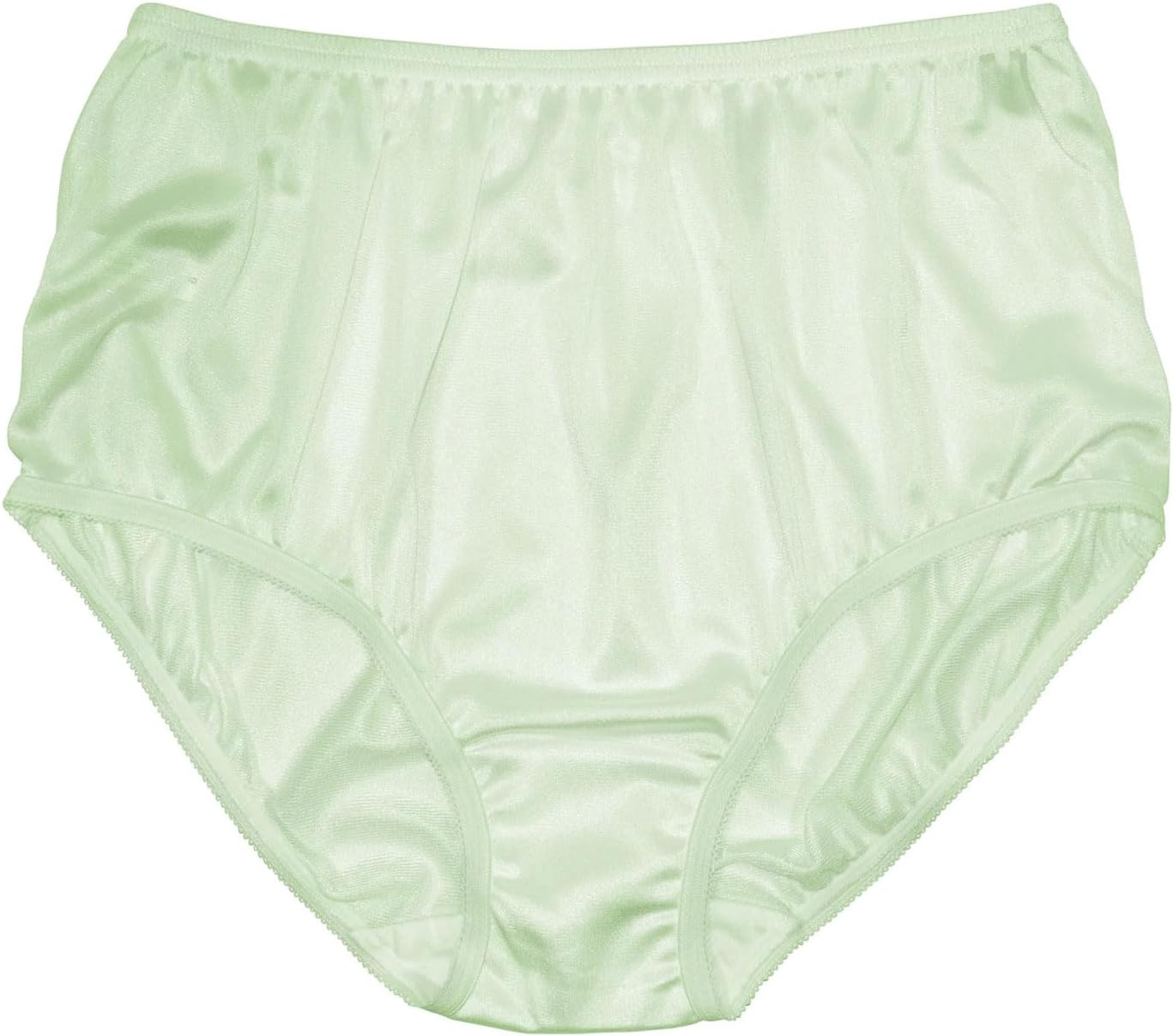 Teri Women's 331 Plain Jane Classic Nylon Silky-Smooth Lightweight Breathable Full Coverage Brief Panty - 4 Pack