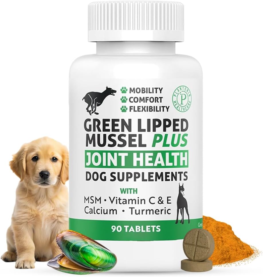 Green Lipped Mussel for Dogs – High Strength Hip & Joint Supplement for Dogs with Omega-3 – Supports Dog Joint Health