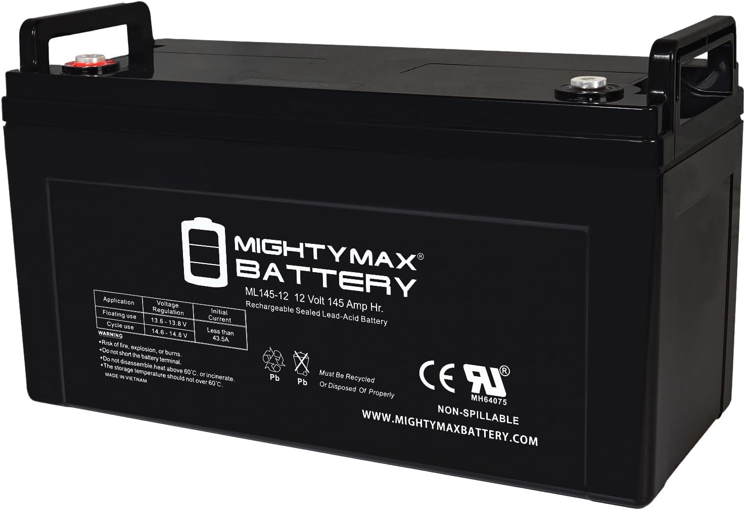 ML100-12 - 12 Volt 100 AH, Internal Thread (INT) Terminal, Rechargeable SLA AGM Battery, 1 Count (Pack of 1)