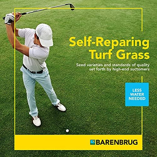 Barenbrug Turf Star Regenerating Perennial Ryegrass Lawn Seed with Yellow Jacket Seed Coating, Fast-Acting Durable Grass Seed Mix for Lawns