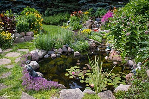 Aquascape 45 Mil EPDM Pond Liner 8 ft x 10 ft, Heavy-Duty Fish-Safe Liner for Ponds, Waterfalls, Fountains, and Water Gardens