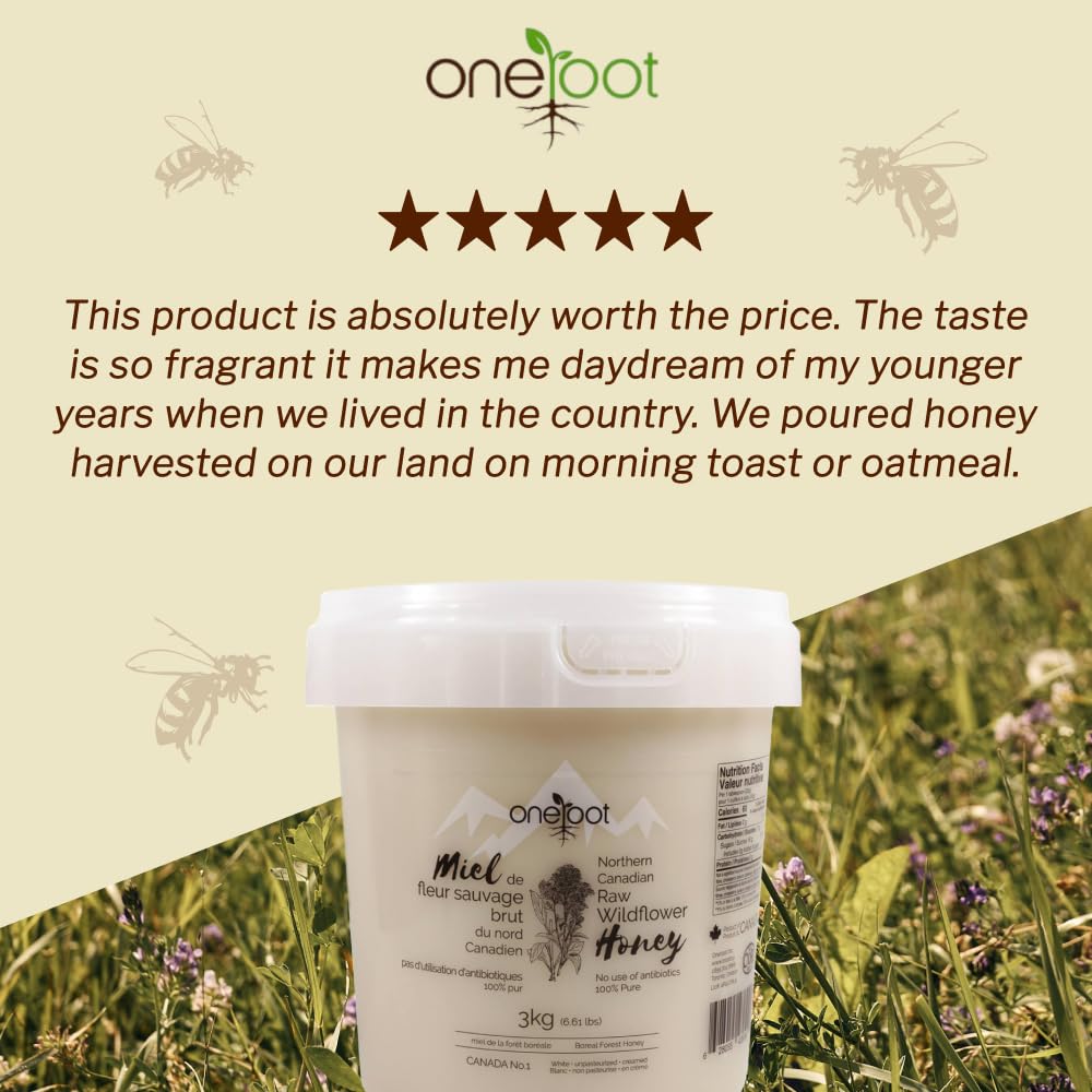 Oneroot 100% Canadian Wildflower Honey - 1.1 lbs, Unheated & Creamed - Nutrient-Rich, Natural Sweetener with Enzymes - Thick & Pure Raw Unfiltered Honey
