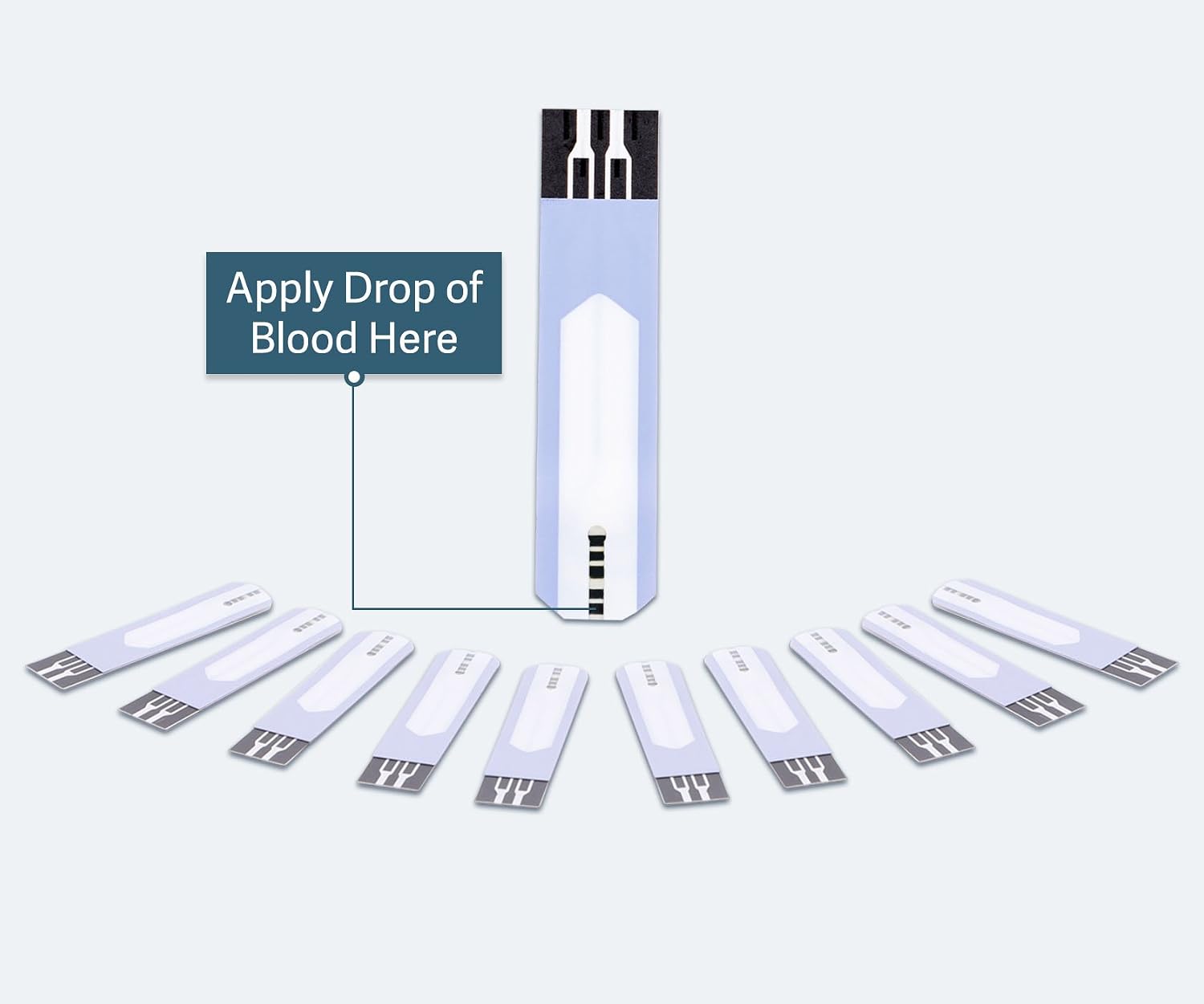 Pharma MD6 Blood Glucose Test Strips (50 Count)