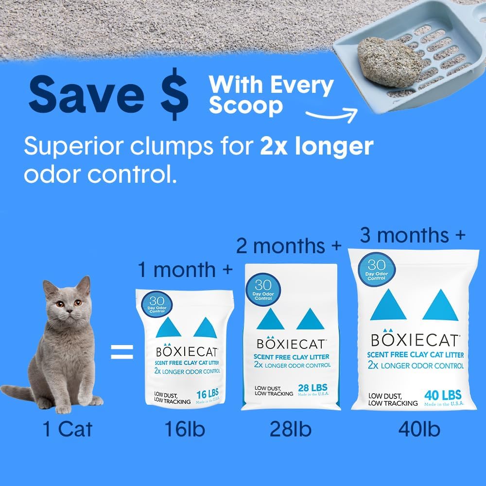 Boxie Premium Unscented Clumping Cat Litter 30+ Day Odor Control 16 lb