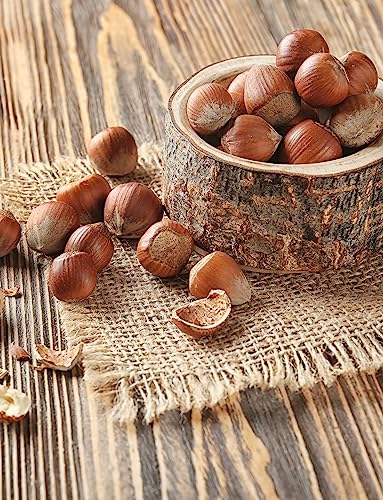 Anna and Sarah Large Oregon Hazelnuts in Shell in Box, 5 Lbs