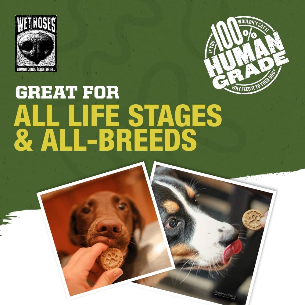 Wet Noses Organic Crunchy Dog Treats – All-Natural, Human-Grade, Non-GMO, Healthy Training & Delicious Snacks for Dogs