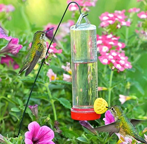 Perky-Pet 2 Pack of 215P Planter Box Plastic Hummingbird Feeder with Hanger (3 Ounce Capacity)