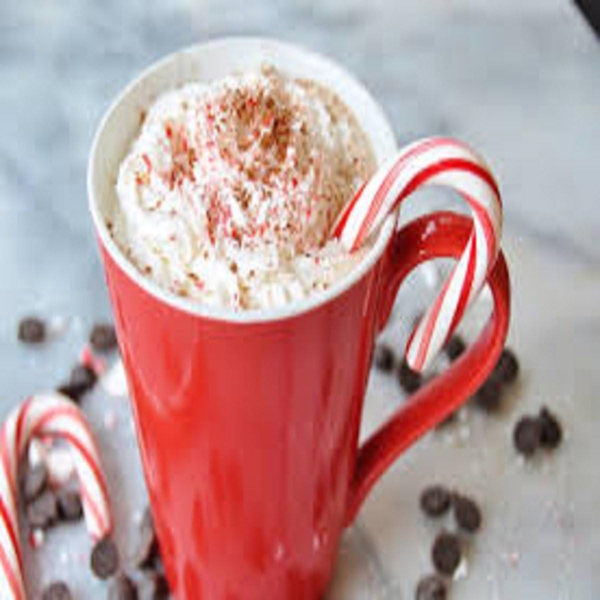 Peppermint Mocha Fragrance Oil (16 oz Bottle) for Candle Making, Soap Making, Tart Making, Room Sprays, Lotions, Car Fresheners, Slime, Bath Bombs