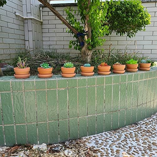 Yishang 3.5 Inch Shallow Terra Cotta pots with Saucer/Tray, Ceramic Clay Planter with Drain Hole for Succulent & Cactus Nursery Planter