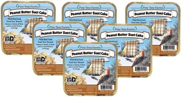 Pine Tree 1421 Peanut Butter Wild Bird Suet Cake, 3-Pound