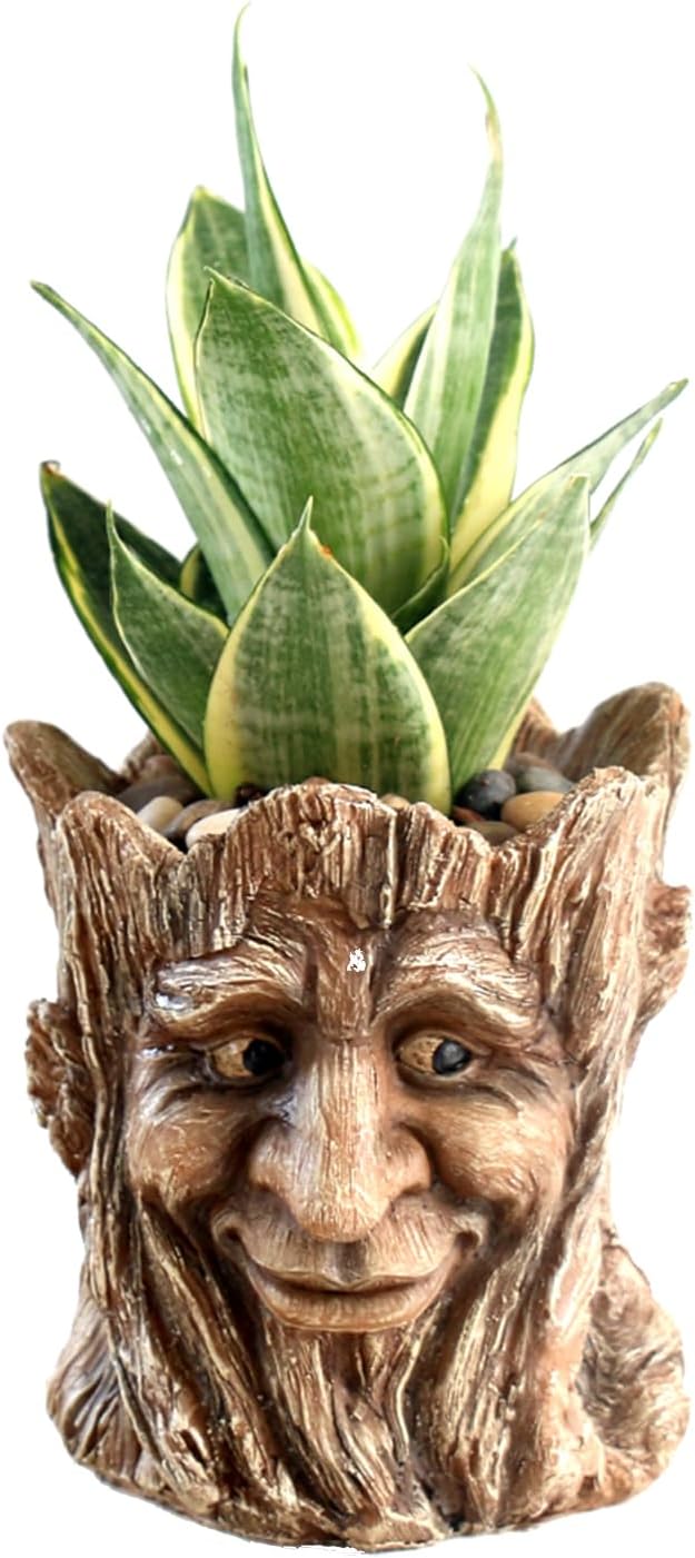 Funny Planter Head Face Plant Pot with Drainage Hole Resin Succulent Plant Holder Pencil Holder Desk Organizer Office Garden Gift (Smile Face)