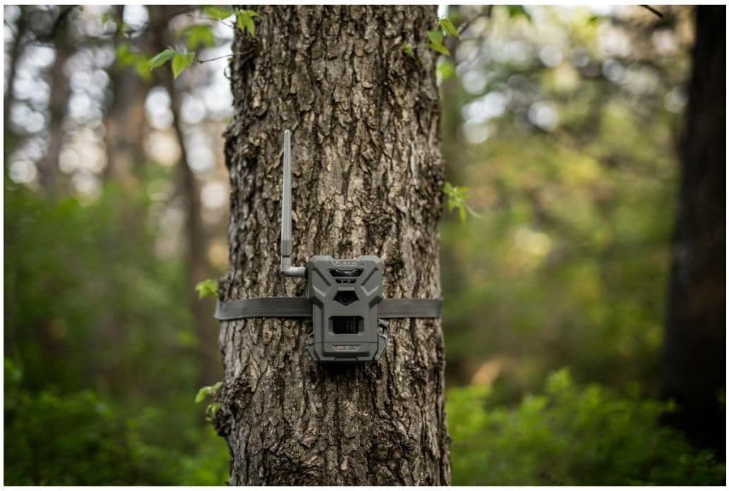 SPYPOINT Flex-M Twin Pack Cellular Trail Cameras - Best Hunting Accessories, No WiFi Needed, GPS, Night Vision, Dual-Sim LTE, IP65 Water-Resistant Game Camera, 28MP Photos, 720p Videos + Sound (2) | IP65 Water-Resistant Game, 720p Videos + Sound, 28MP Ph…