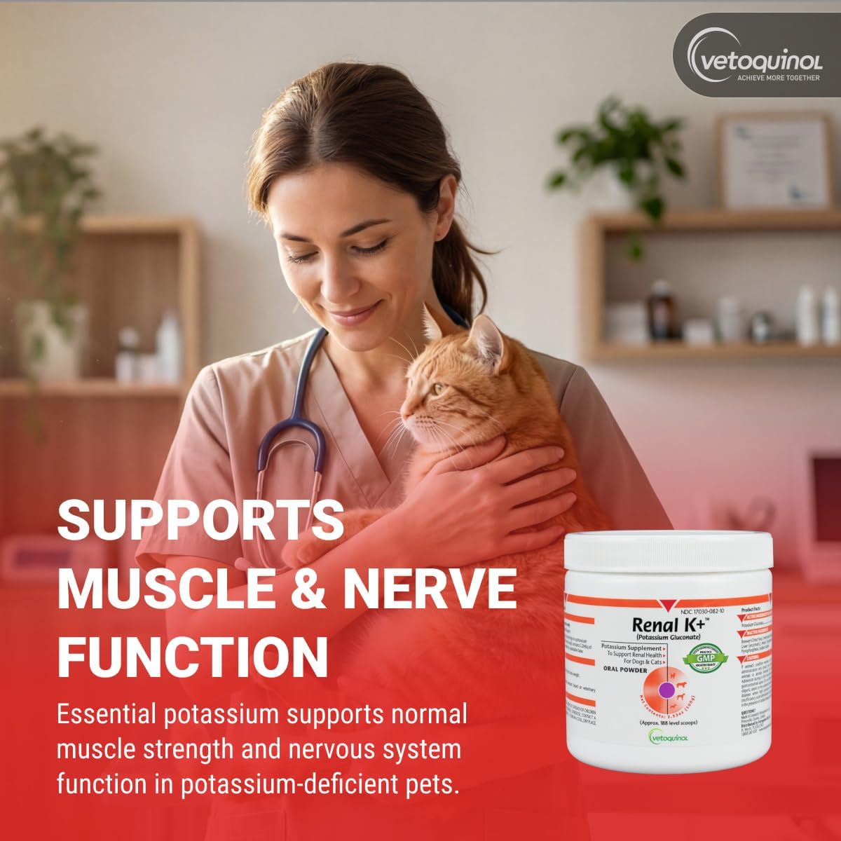 Vetoquinol Renal K - Potassium Supplement Powder for Dogs & Cats - Supports Kidney Health & Pet Wellness - Unflavored Oral Supplement - 3.5oz