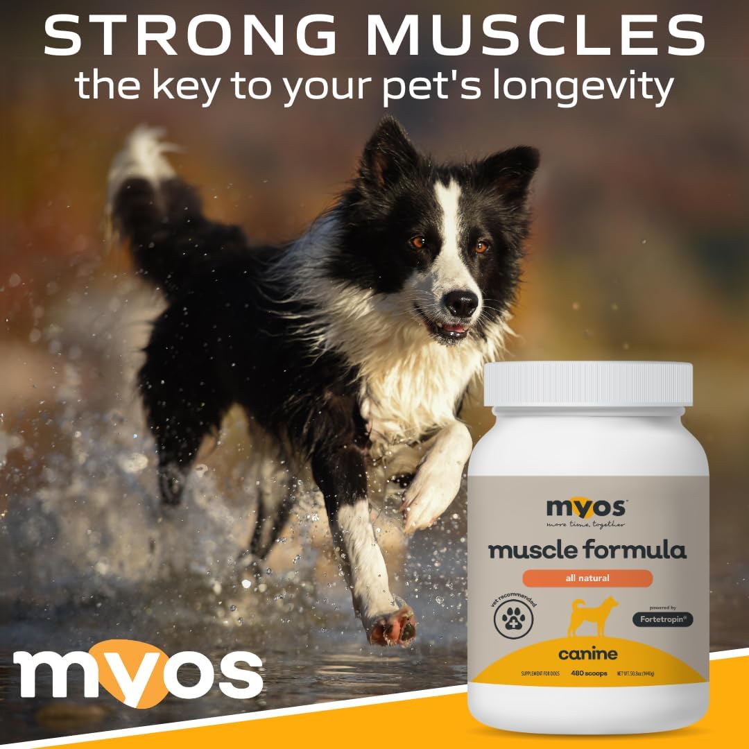 MYOS Canine Muscle Formula - Dog Muscle Builder & Mobility Support - 180 g