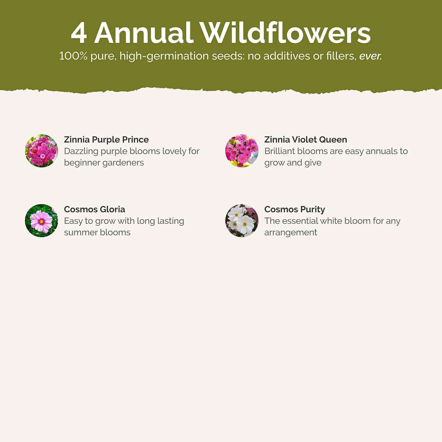 Eden Brothers All Perennial Wildflower Mixed Seeds for Planting, 1 lb, 480,000+ Seeds with Lupine, Shasta Daisy | Attracts Pollinators, Plant in Spring or Fall, Zones 3, 4, 5, 6, 7, 8, 9, 10