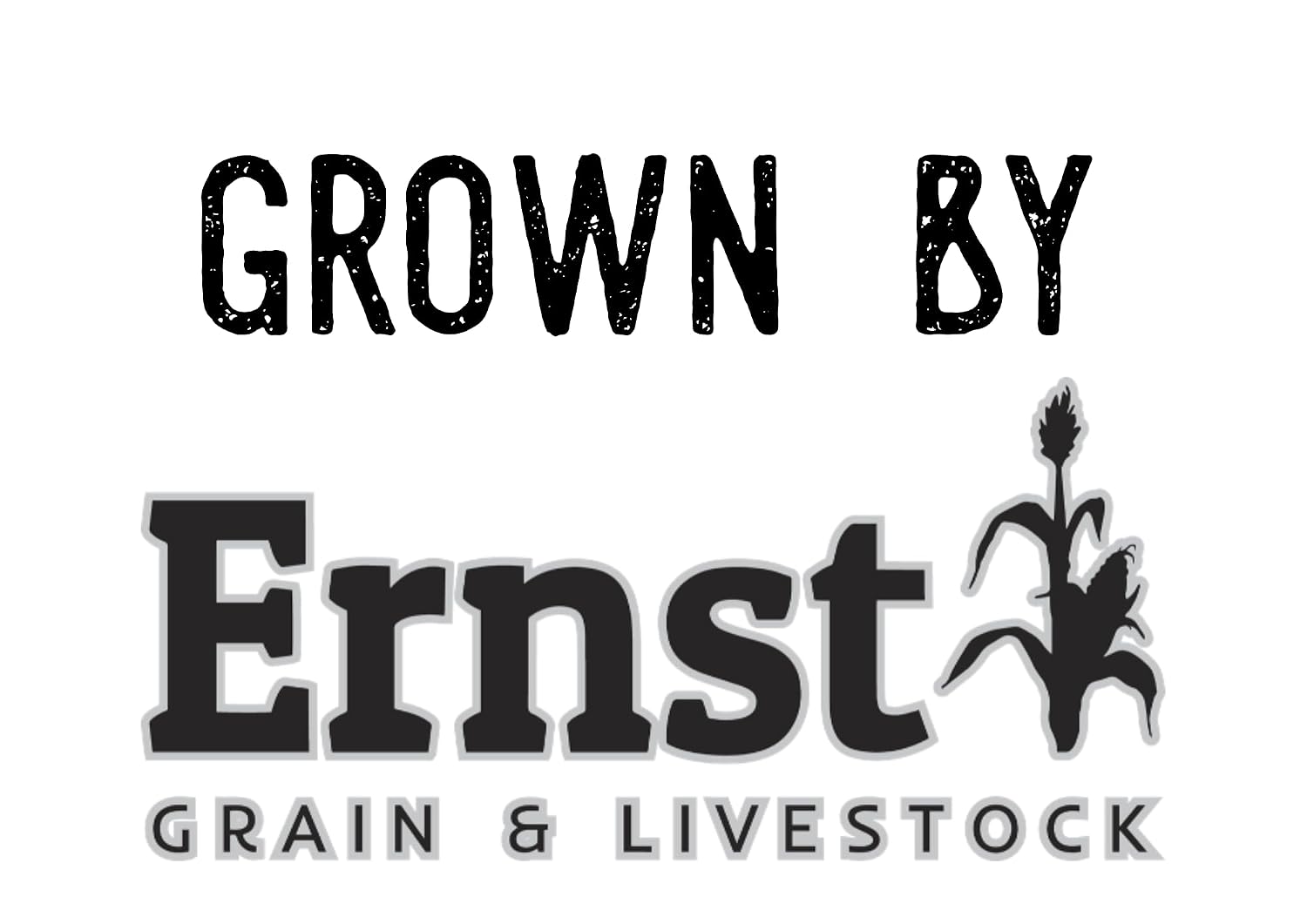 Ernst Grain & Livestock Soft Red Wheat Berries – Non‑GMO Feed Grade – 46 LB Bulk Bag – Ideal for Livestock & Poultry Feed – Grown (Family