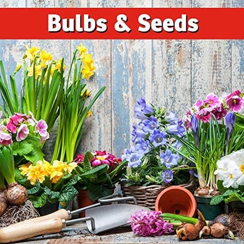 I Must Garden Squirrel Repellent: Stops Digging in Gardens/Pots/Beds - 3lb