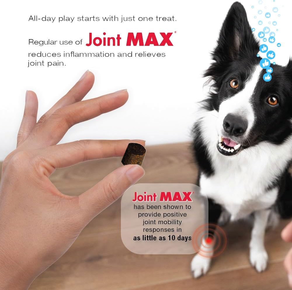 TS Joint Supplement Vet Formulated Pain & Inflammation Relief Treats Hip Dysplasia & Arthritis.Glucosamine, Chondroitin, Turmeric, MSM, HA, Creatine, Omega 3 EPA+DHA. All Dogs 240 Soft Chews