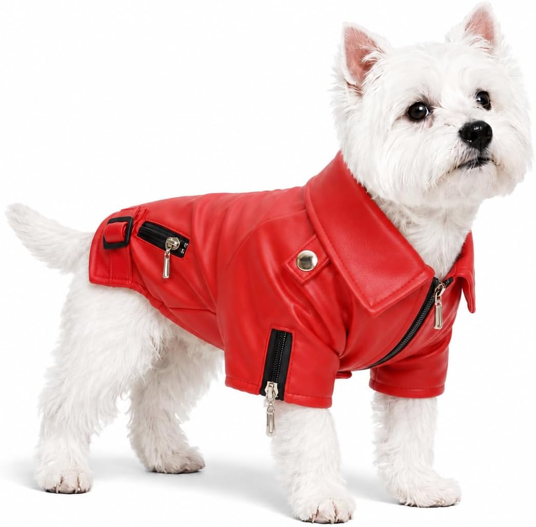Lovelonglong Cool Dog Leather Jacket, Warm Coats Dogs Windproof Cold Weather Coats for Large Medium Small Dogs with Eagle Embroidery Black XS