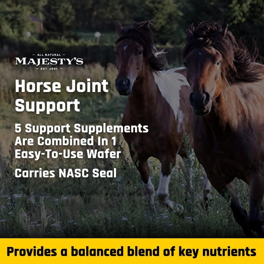 Majesty's Flex Wafers - Superior Horse/Equine Joint Support Supplement - Glucosamine, MSM, Chondroitin, Yucca, Vitamin C (Regular, 2 Pack (120 Count Total))