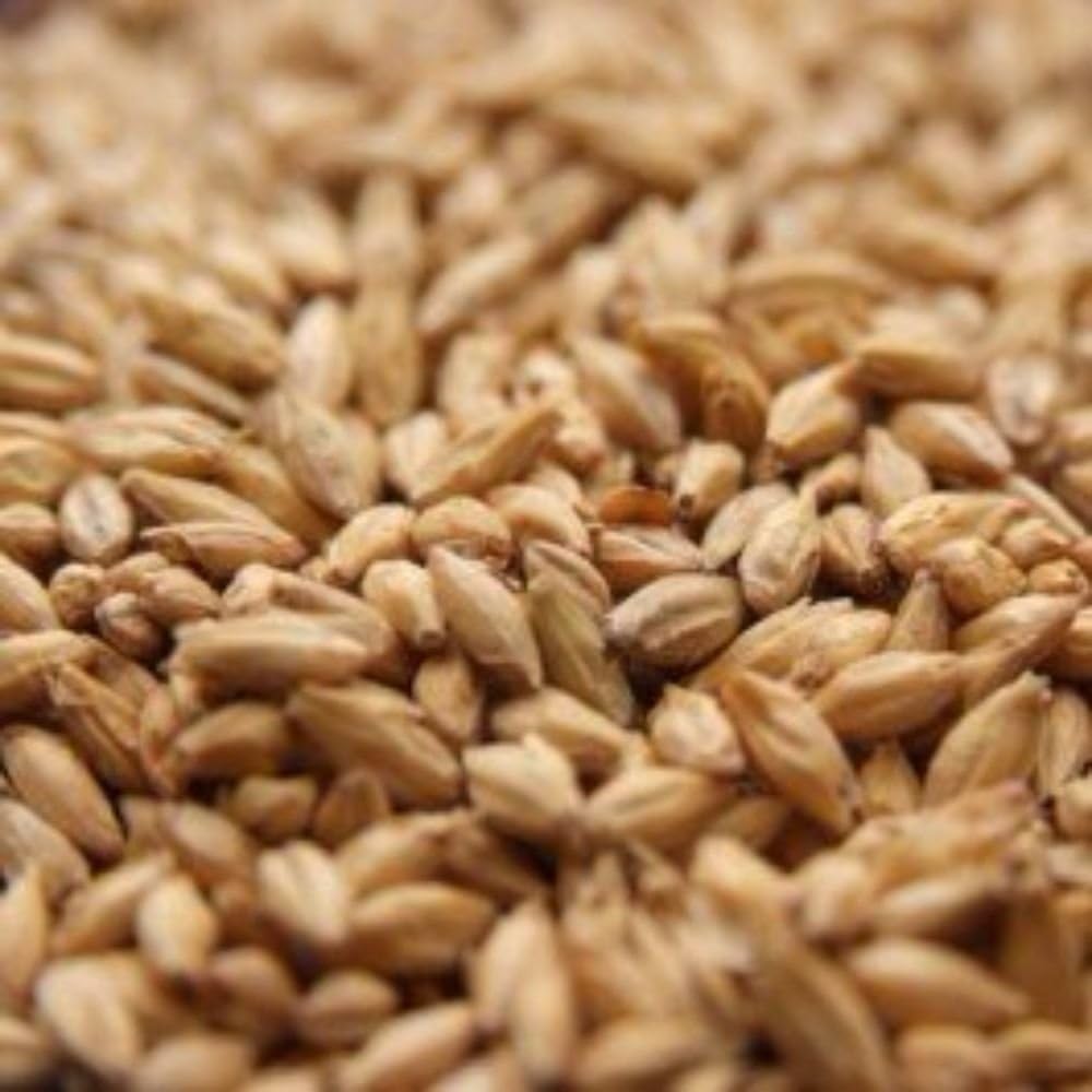 Rahr Standard 2-Row Malt 5 lb