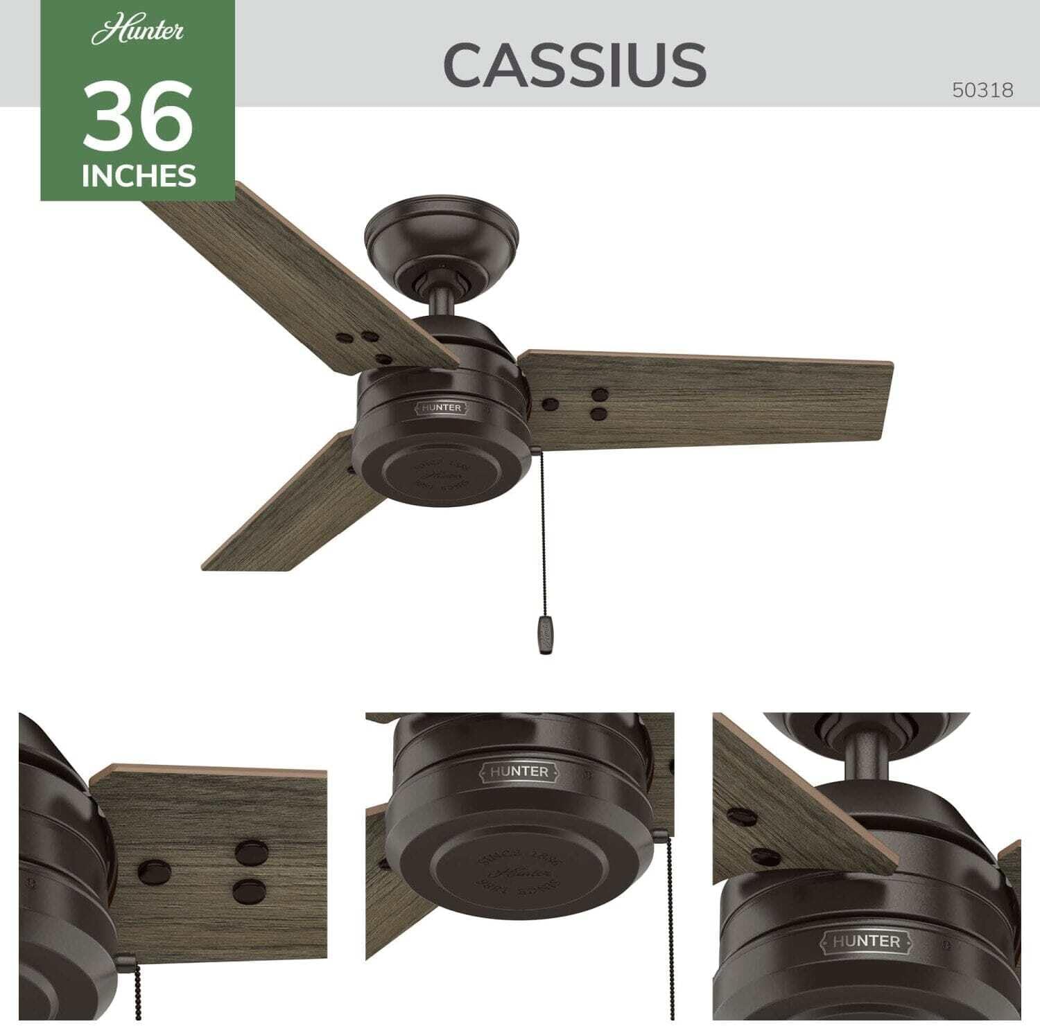 Hunter Cassius, Outdoor or Indoor, Ceiling Fan, 44 inch, Matte Black