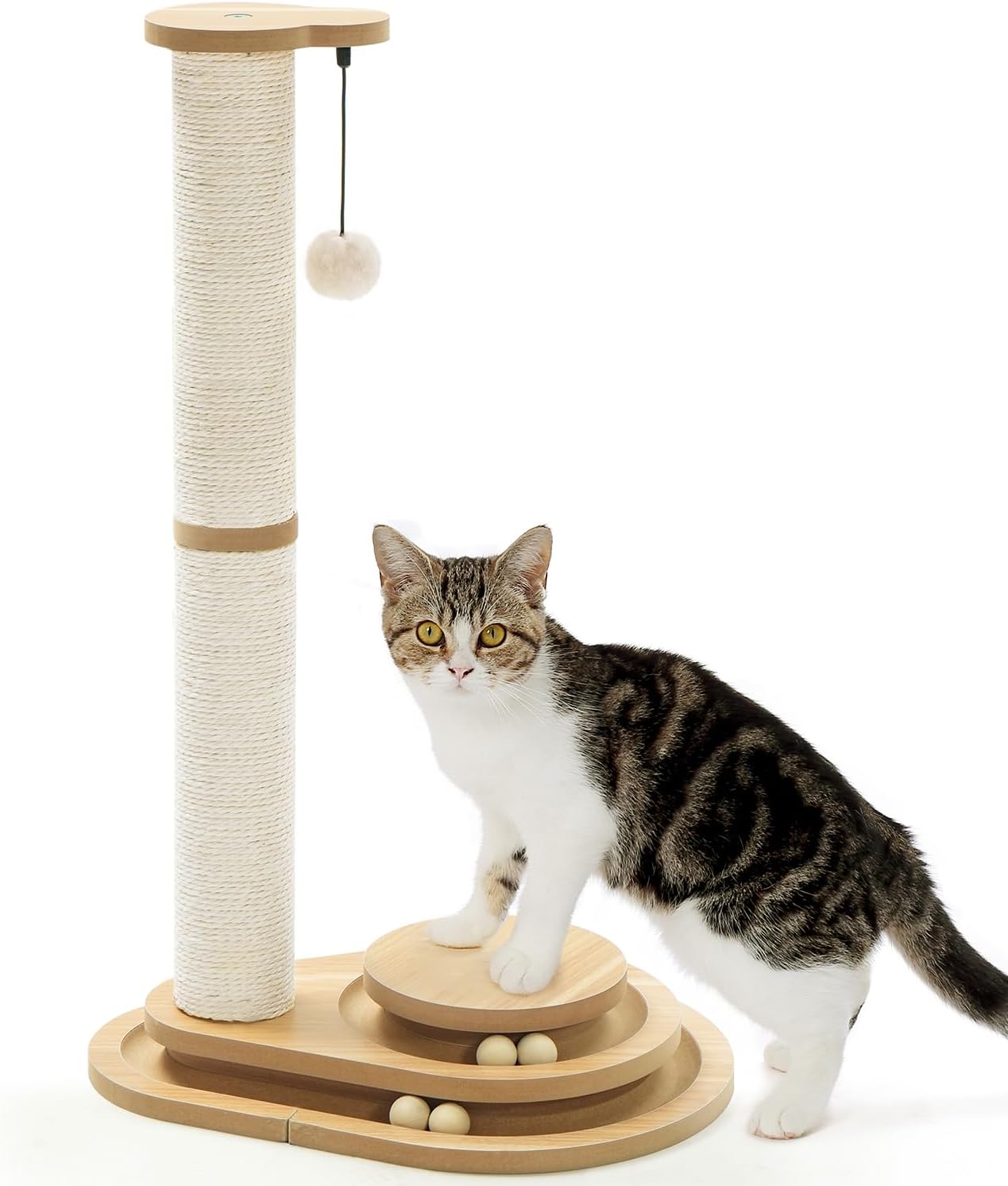 Made4Pets Kitten Toy Scratching Post for Indoor Cats with Ball Track