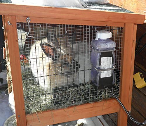 Farm Innovators HRB-20 Heated 32-Oz Water Bottle for Small Animals | Thermostatically controlled to operate only when necessary, for rabbits, guinea pigs, birds, and small rodents, 20W