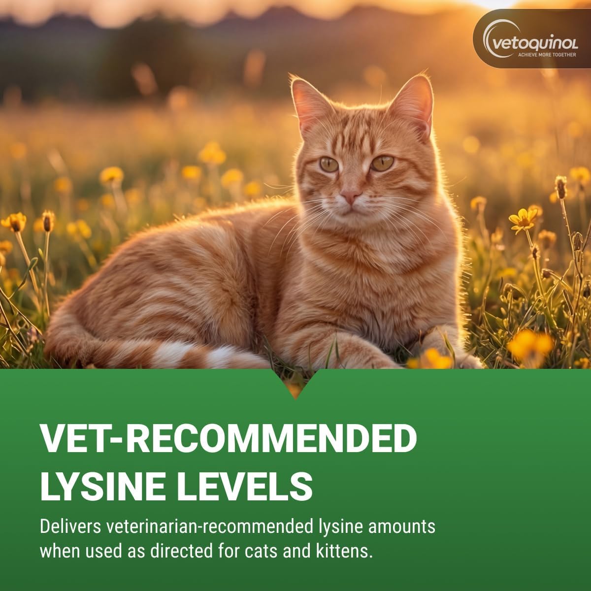 Vetoquinol Viralys - Lysine Supplement for Cats & Kittens - Supports Eye Wellness