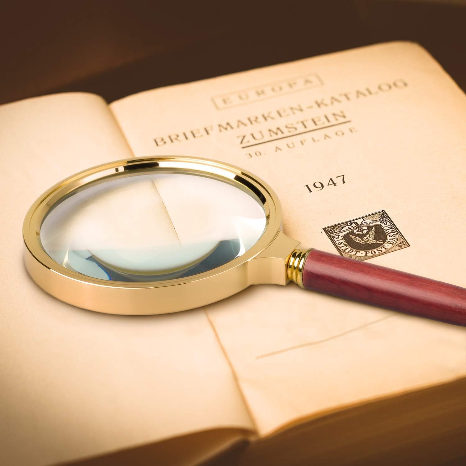 BASUNE 10X Handheld Magnifier, Reading Magnifier Loupe Glasses 10X with Rosewood Handle for Book and Newspaper Reading, Insect and Hobby Observation