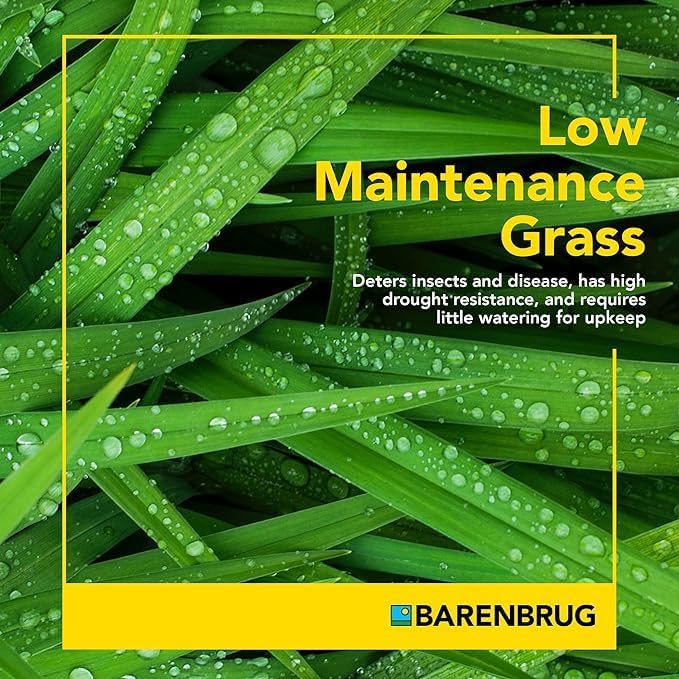 BARENBRUG USA TVKBG7 TV 7 lb Kentucky Bluegrass Seed