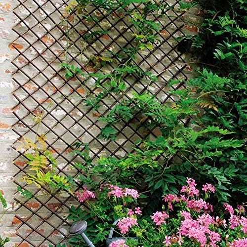 Natural Lattice Willow Trellis Fence for Climbing Plants,Expandable Garden Fence Wall Panel, Outdoor Decorative Wood Fence (1 Pieces)