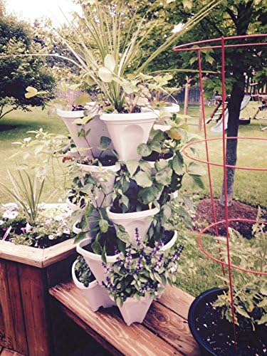 Mr. Stacky 5 Tiered Vertical Gardening Planter, Indoor & Outdoor