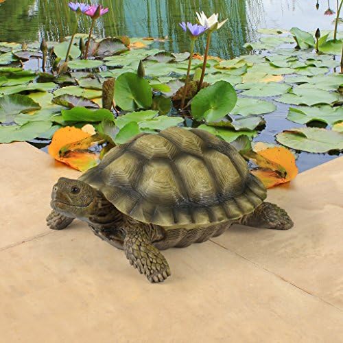 Design Toscano QM1887611 Gilbert the Box Turtle Garden Decor Animal Statue, 9 Inch, Full Color