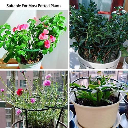 Belit 8 Pack Plant Supports for Small Plants, Garden Flowers Green Plant Support Ring, Planter Support Ring for Schlumbergera, Clivia, Succulents