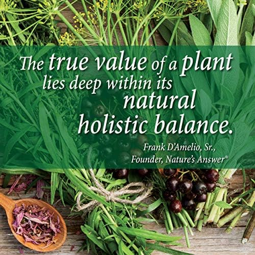 Nature's Answer Marine Based Magnesium, Super Concentrated 500mg | Plant Based | Red Algae & Seawater Derived | Alcohol-Free & Gluten-Free | Vegetarian Capsules 90ct