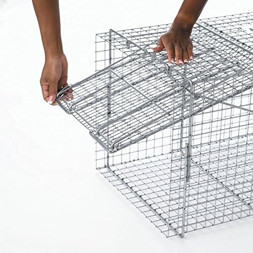 Havahart X-Large 1-Door Humane Animal Trap for Armadillos, Beavers, Bobcats, Cats, Dogs, Foxes, Groundhogs, Opossums, Racoons