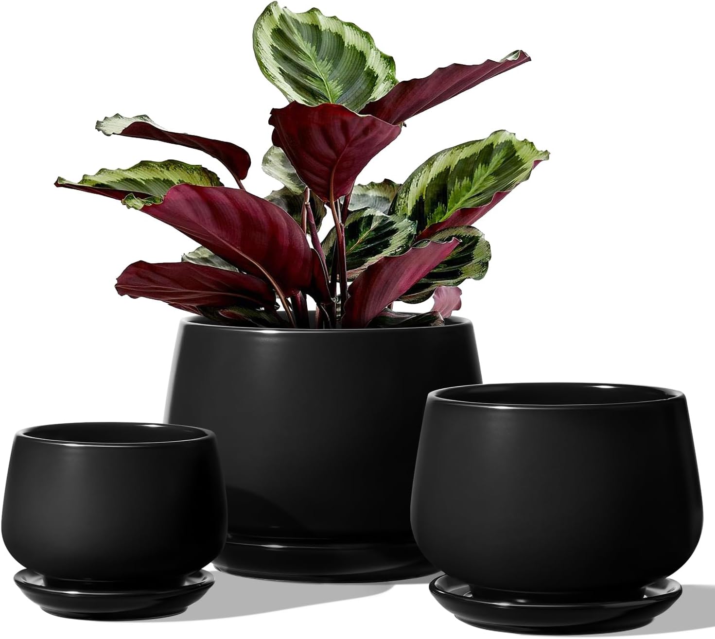 LE TAUCI Plant Pots, 4.1+5.1+6.5 inch, Set of 3, Ceramic Planters with Drainage Hole and Saucer, Indoor Flower Pot with Hole Mesh Pad, Gifts for Mom