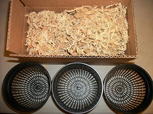 Three 5 Inch Net Pots with New Zealand Sphagnum Moss