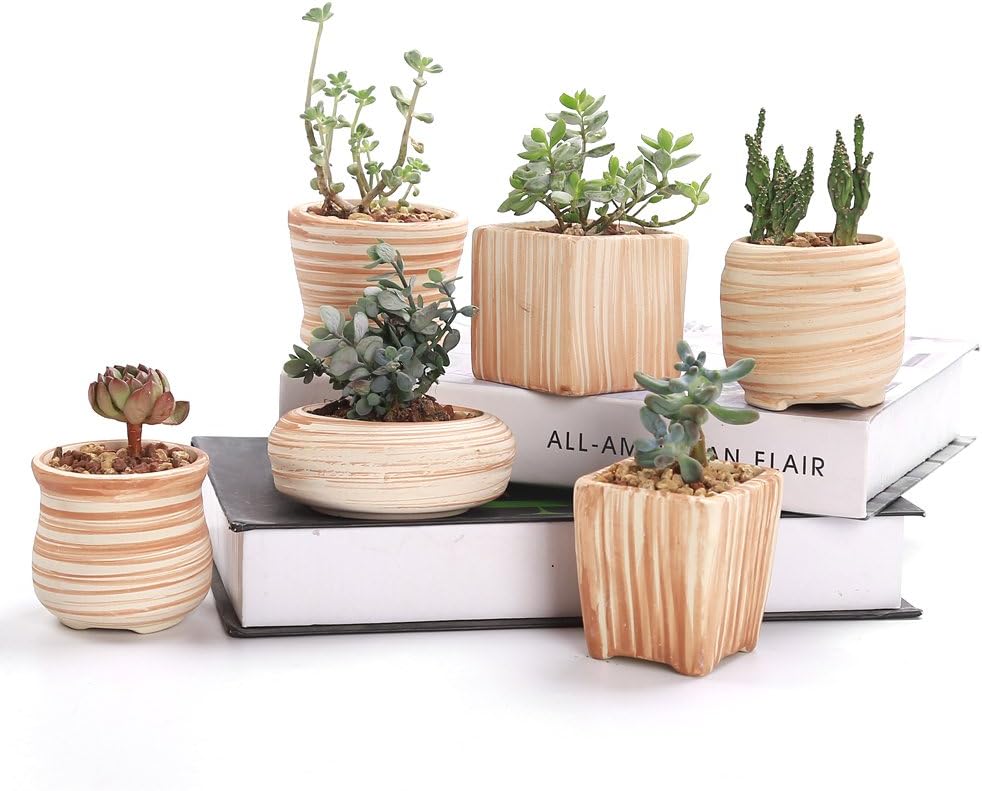Sun-E 6 in Set 7.6 cm Ceramic Wooden Pattern Succulent Plant Pot Cactus Plant Pot Flower Pot Container Planter Gift Idea