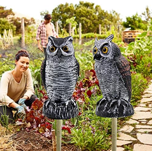 Hausse 2 Pack Fake Horned Owl Bird Scarecrow Decoy 10.5 Inch Height, Plastic Deterrents, Halloween Decoration