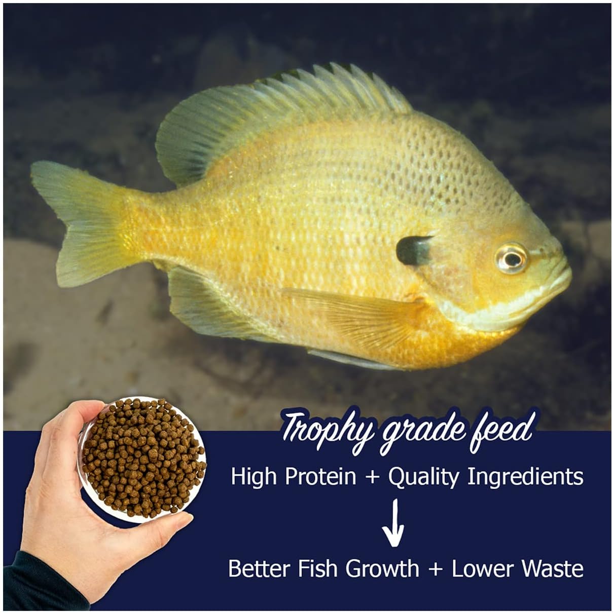 Natural Waterscapes Game Fish Food Variety | Pond and Lake Fish Food Pellets | 22 lb Bag | Feed to Bass, Bluegill, Trout, Catfish