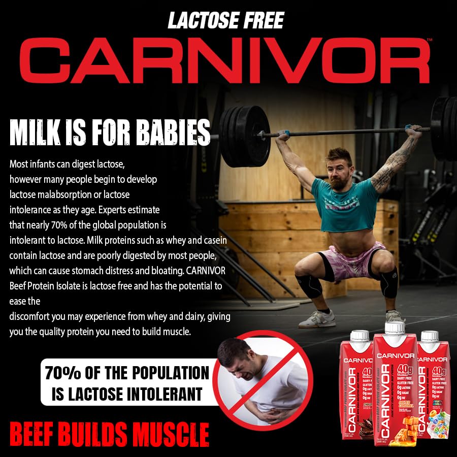 MuscleMeds Carnivor RTD, Ready to Drink Protein, Lactose Free, Sugar Free, 40g Isolate Protein, Muscle Building, Recovery, Chocolate, 16.9 Fl Oz (Pack of 12)